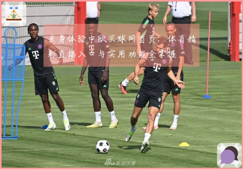 亲身体验中欧买球网首页：体育精彩直播入口与实用功能全掌握