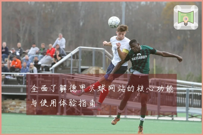 全面了解德甲买球网站的核心功能与使用体验指南