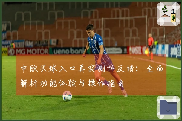 中欧买球入口真实测评反馈：全面解析功能体验与操作指南